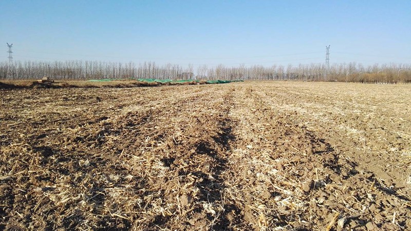 2.现场无建筑我院中标武清开发区四期工业项目土壤环境调查评估项目3.13.jpg
