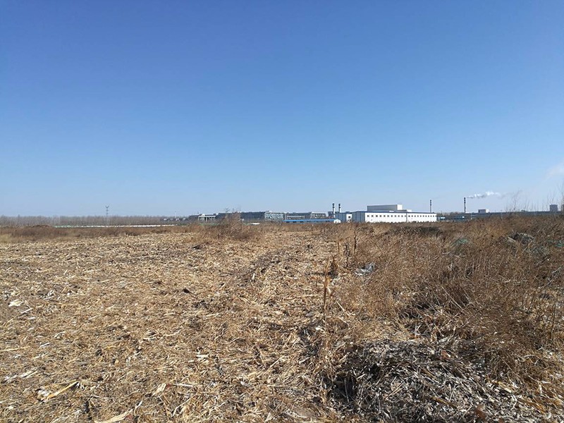 2.现场有建筑我院中标武清开发区四期工业项目土壤环境调查评估项目3.13.jpg